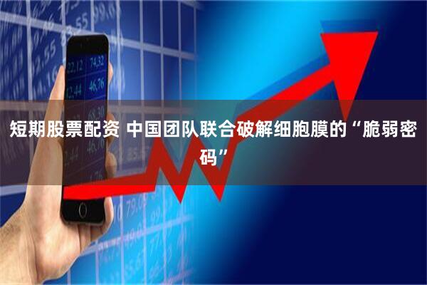 短期股票配资 中国团队联合破解细胞膜的“脆弱密码”